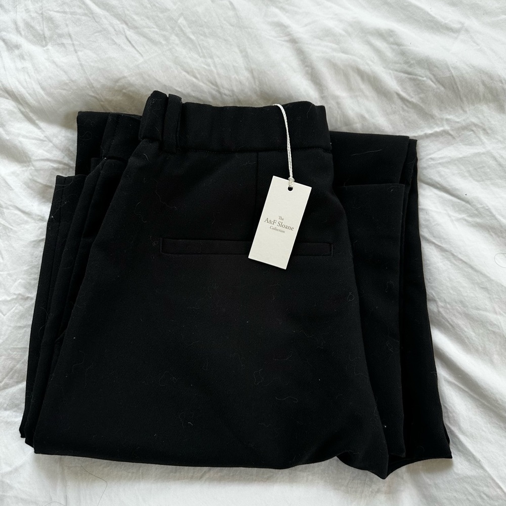 NWT A&F Sloane Pants